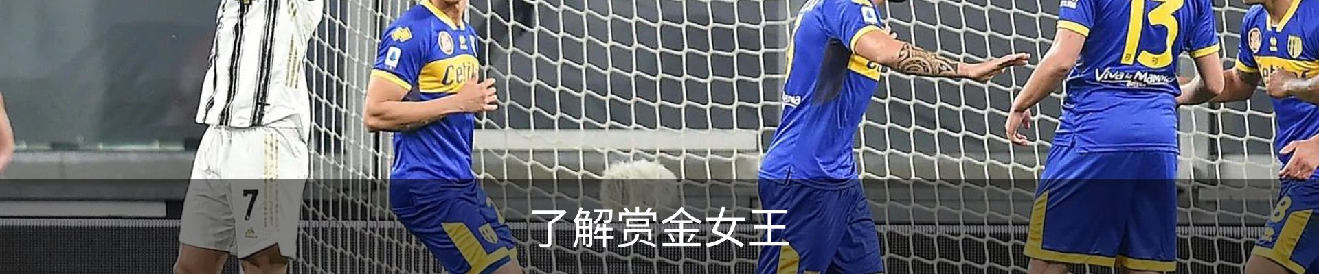 了解赏金女王