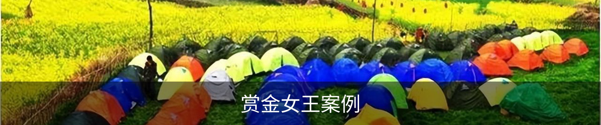 赏金女王案例